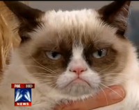 /album/utcara-nyilik-a-kocsma-ajto-d-3/catnews-jpg/