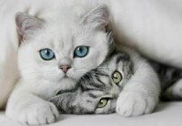 /album/sej-haj-akacfa-dd-/images-jpg/