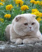 /album/sej-haj-akacfa-dd-/imagescao9biif456517-jpg/