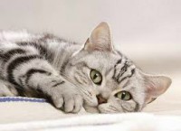 /album/sej-haj-akacfa-dd-/imagescap6c6dm147497-jpg/