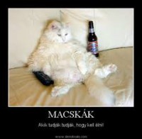 /album/sej-haj-akacfa-dd-/imagescaw9k2yj434554-jpg/